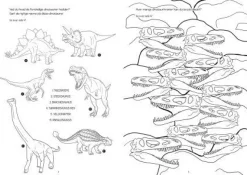 Aktivitetsbog - Pragtfulde Dinosaurer