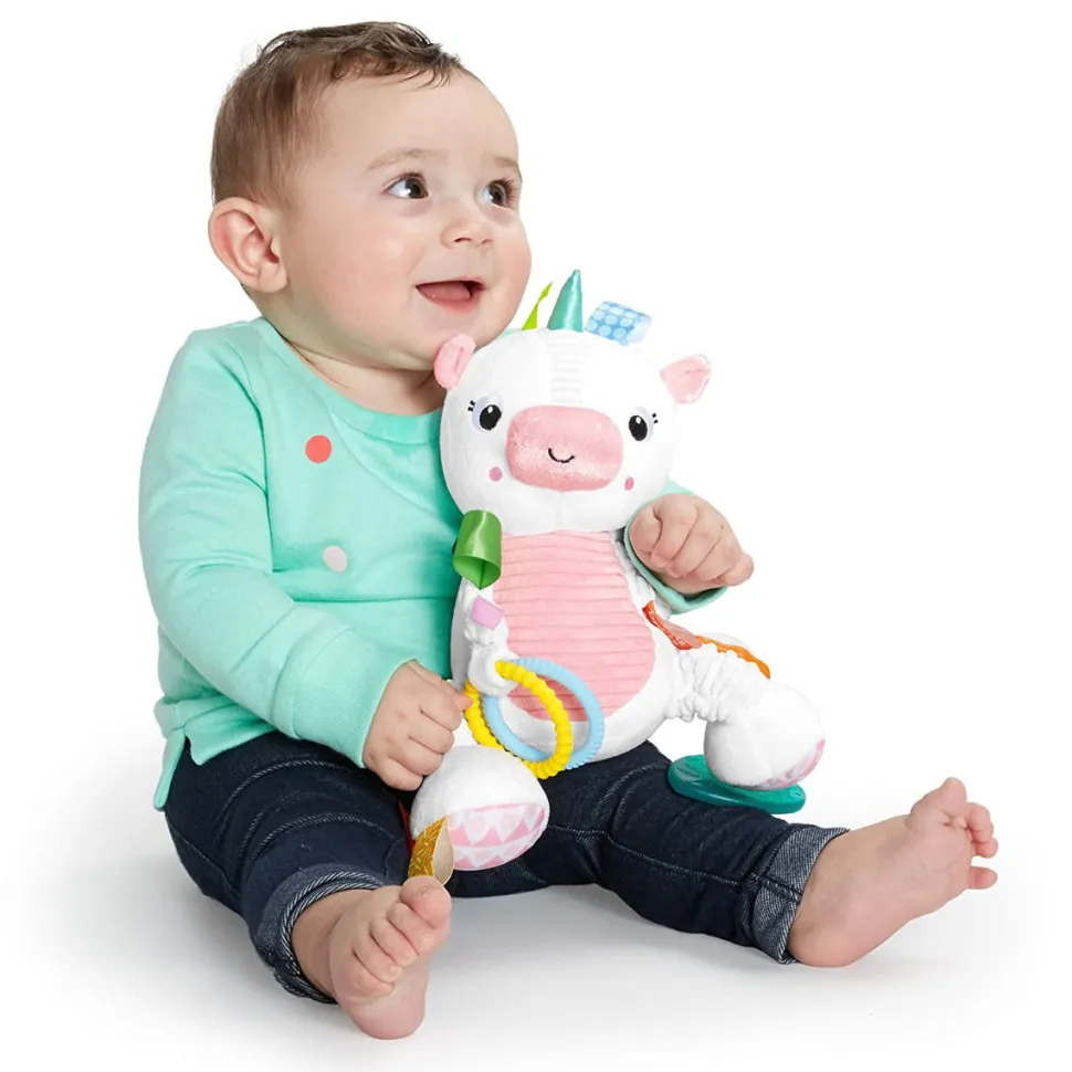 Aktivitets-Enhjorning