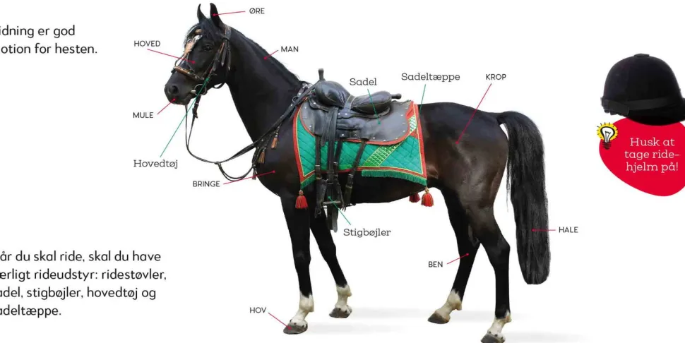 Aktivitetskuffert - Hestene I Stalden