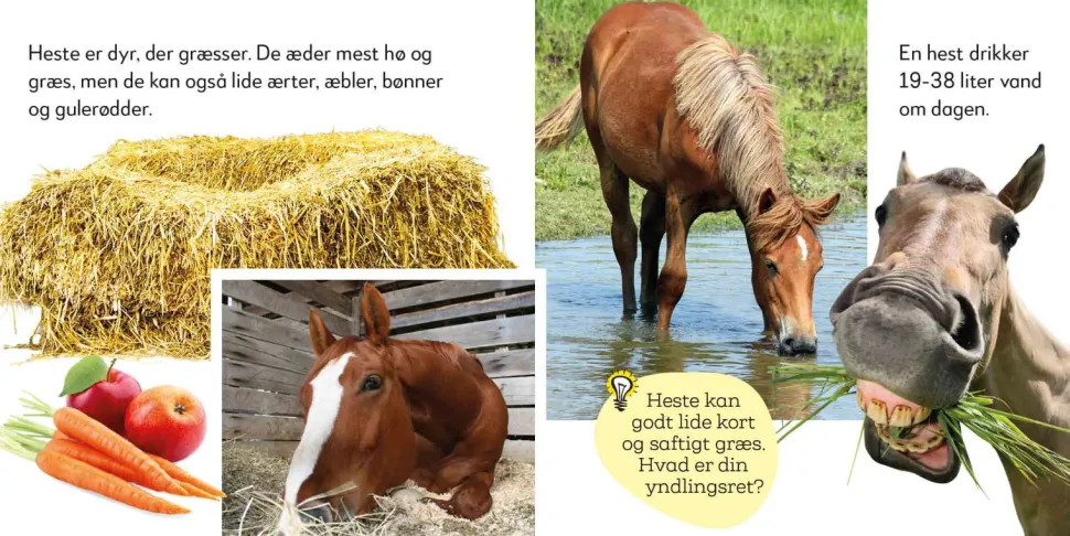 Aktivitetskuffert - Hestene I Stalden