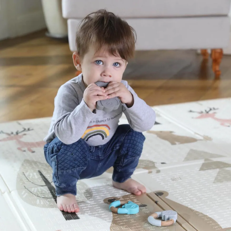 Ammehalskaede & Bidering