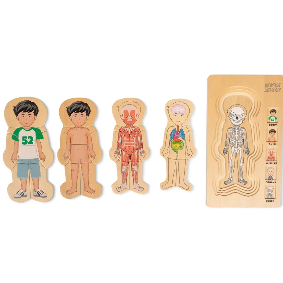 Anatomi Puslespil - Dreng