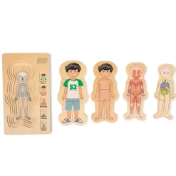 Anatomi Puslespil - Dreng