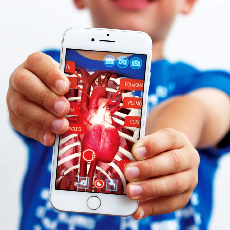 Anatomi T-Shirt, Interaktiv - Barn