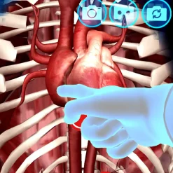 Anatomi T-Shirt, Interaktiv - Barn