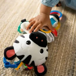 Baby Einstein - Aktivitets-Zebra