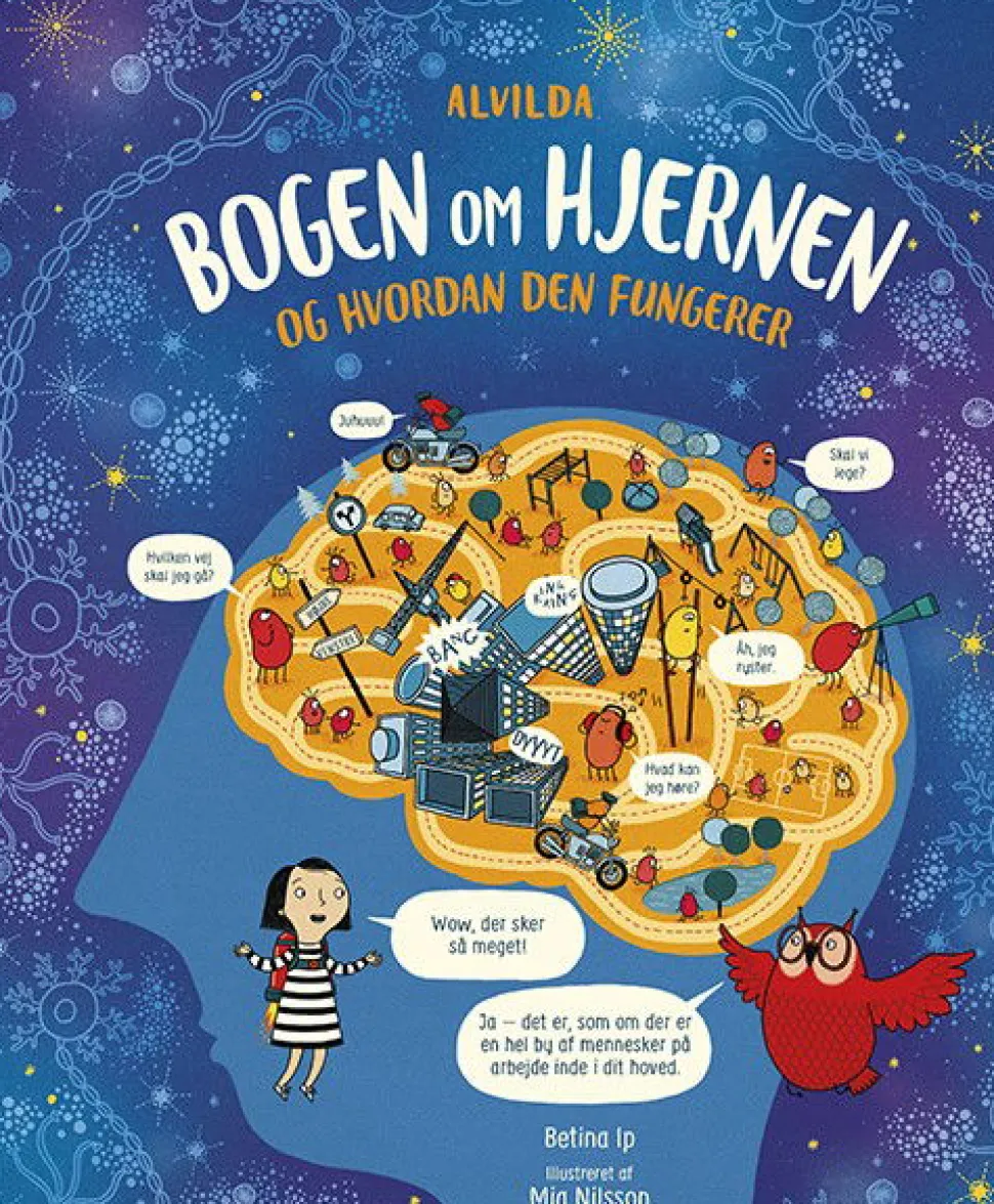Bogen Om Hjernen Og Hvordan Den Fungerer