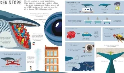 Bogen Om Sammenligninger