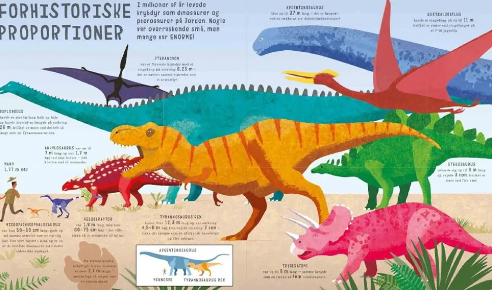 Bogen Om Sammenligninger