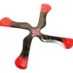 Boomerang X-Fly