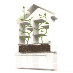 Byg En Plantelabyrint Og Lær Om Botanik