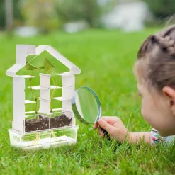 Byg En Plantelabyrint Og Lær Om Botanik