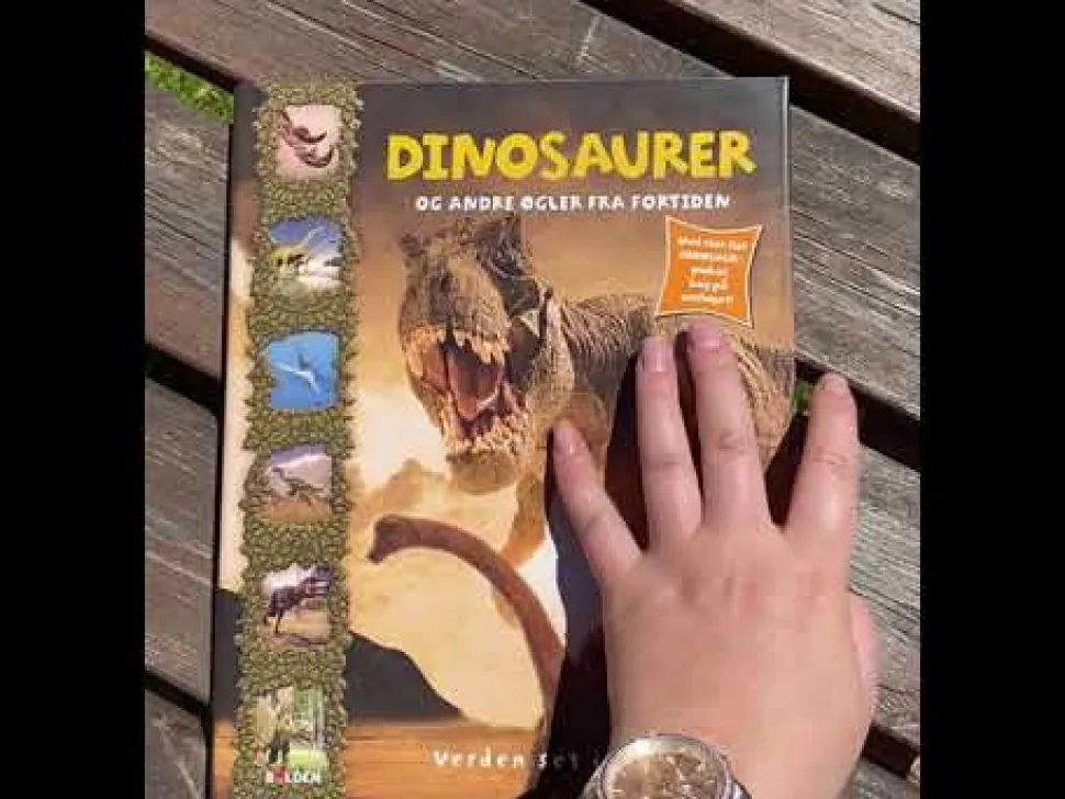 Dinosaurer Og Andre Ogler Fra Fortiden