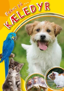 Fokus Pa … Kaeledyr