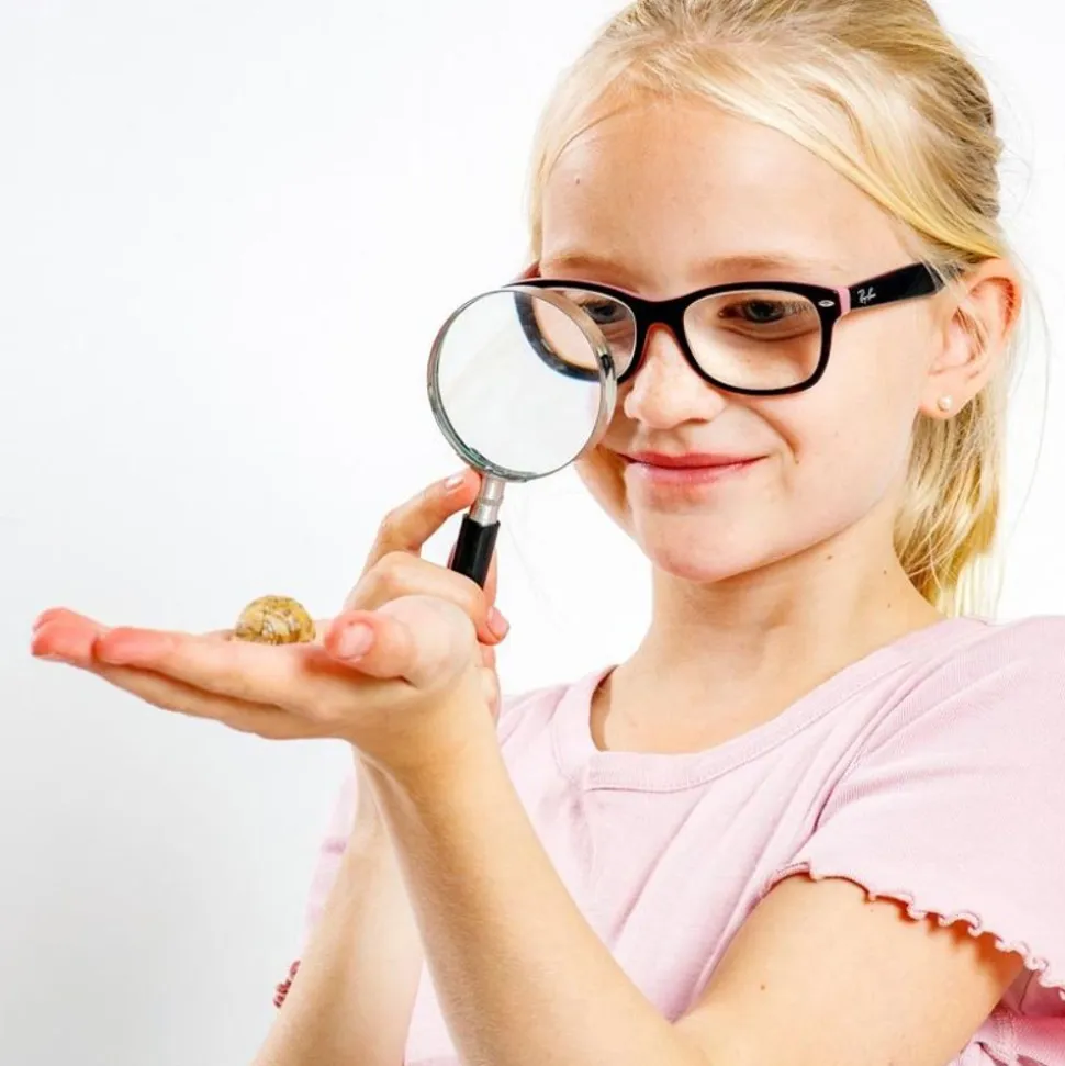 Forskerfabrikkens Julekalender - 24 Dage