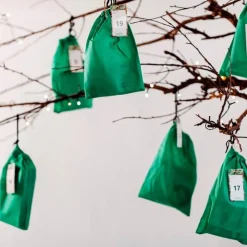 Forskerfabrikkens Julekalender - 24 Dage