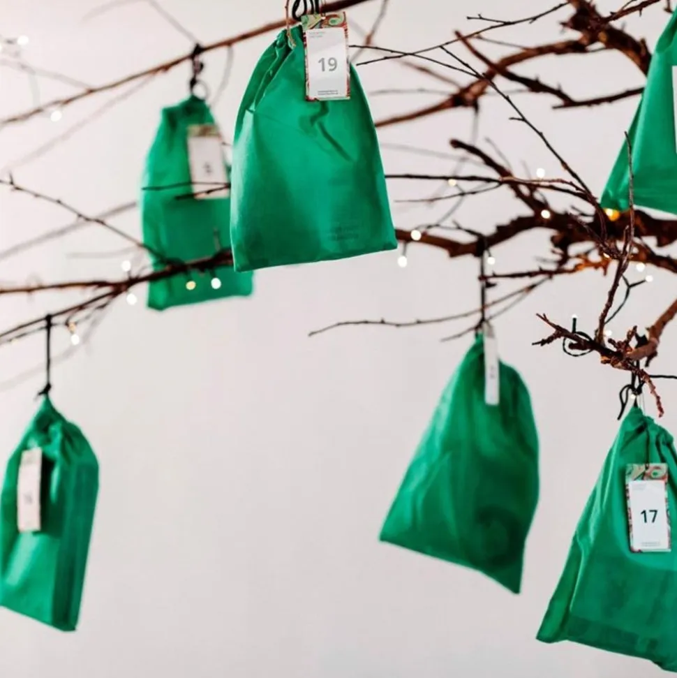 Forskerfabrikkens Julekalender - 24 Dage