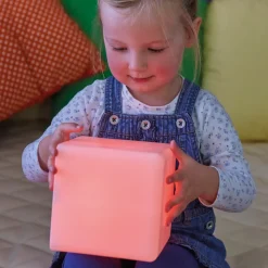 Forvandlingsklodser, 12 Stk