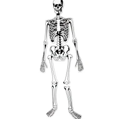 Gulvpuslespil - Skelet