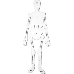 Gulvpuslespil - Skelet