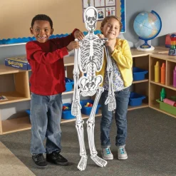 Gulvpuslespil - Skelet