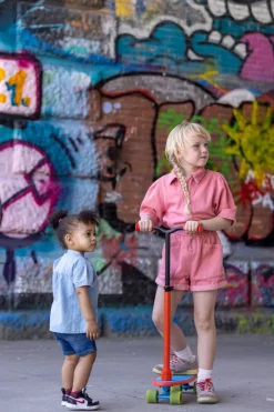 2-I-1 Skatieskootie - Rod