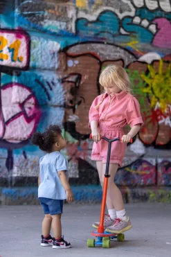 2-I-1 Skatieskootie - Rod