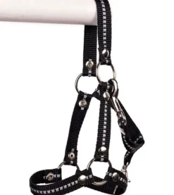 Kaephest Lux Tilbehør - Grime, Sort