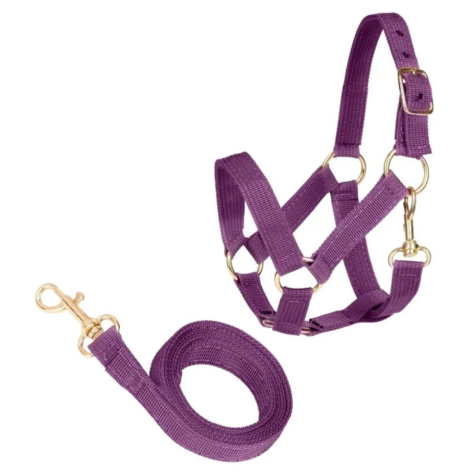 Kaephest Tilbehør - Grimesaet, Ametyst