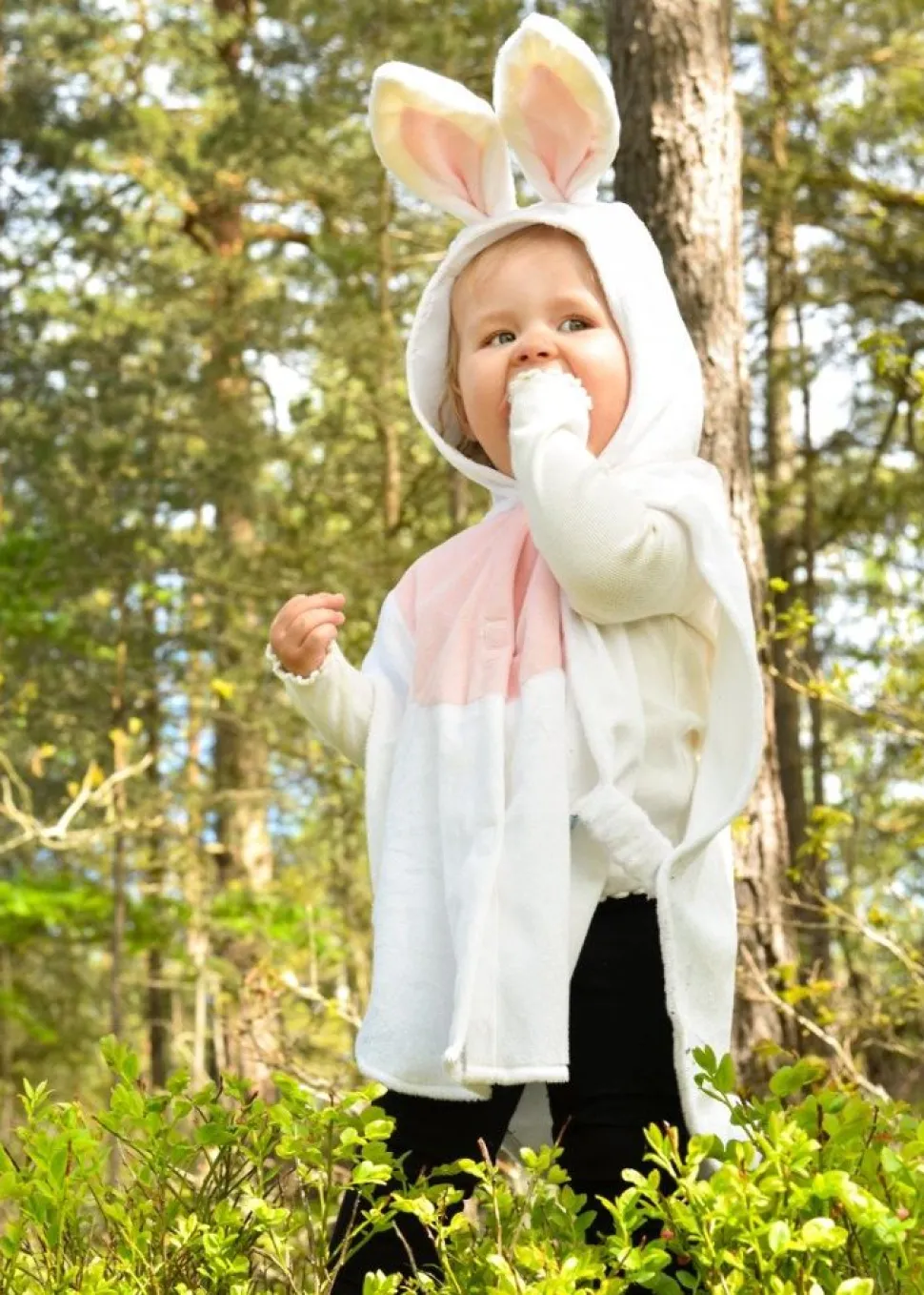 Kanindragt, Str. 1-4 Ar