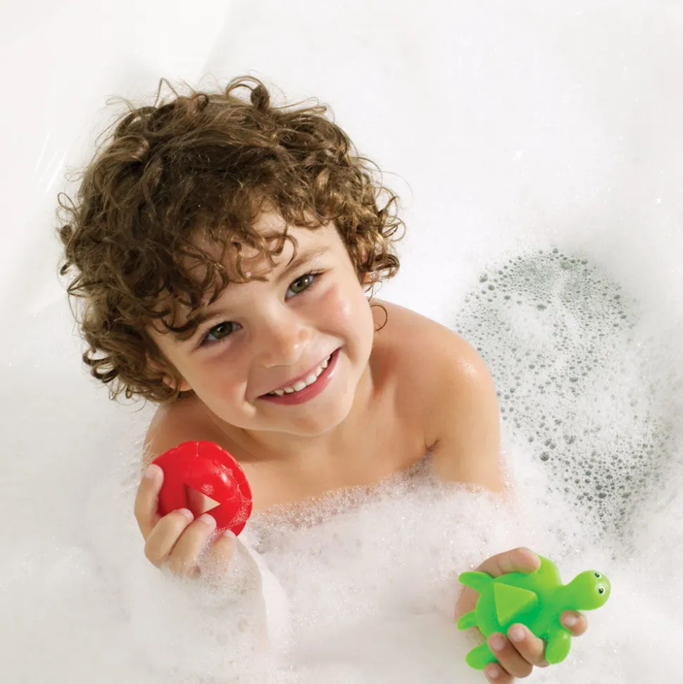 Klik & Lær - Skildpadder