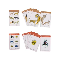 Kortspil - Dyrearter (Engelsk/Fransk)