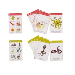 Kortspil - Dyrearter (Engelsk/Fransk)