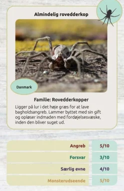 Kortspil - Edderkopper