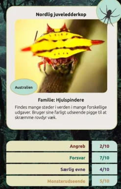 Kortspil - Edderkopper