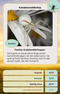 Kortspil - Edderkopper