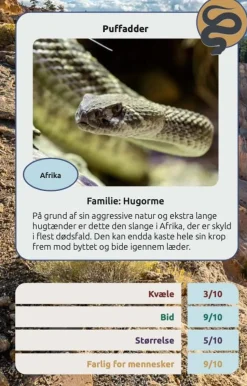 Kortspil - Farlige Slanger