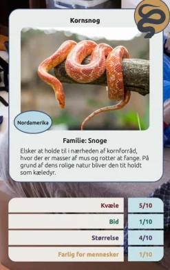Kortspil - Farlige Slanger