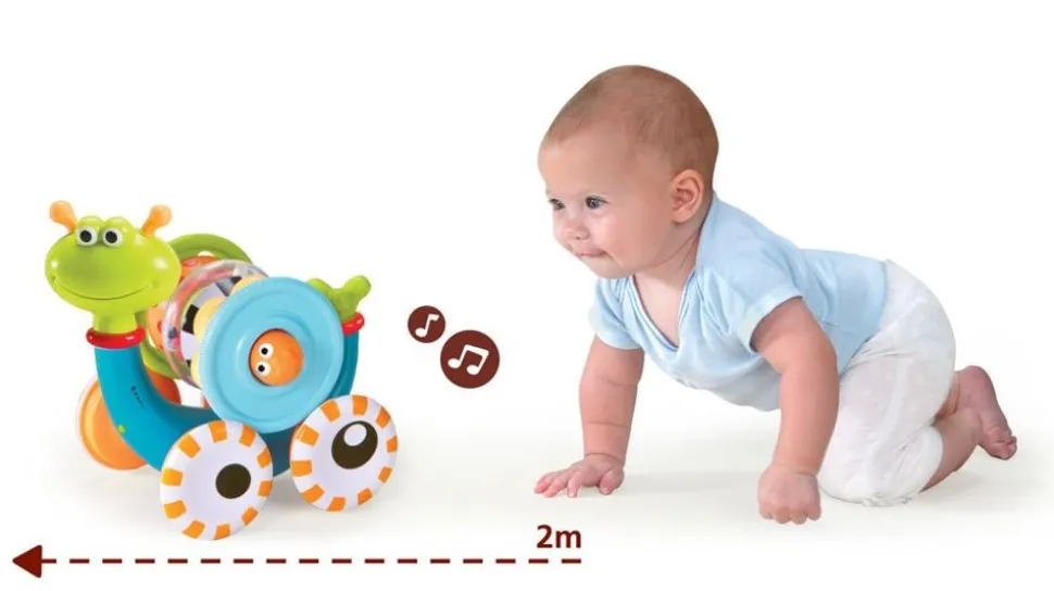 Kravle- Og Stablesnegl