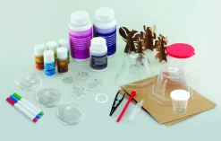 Krystaldyrkning - Stort Saet