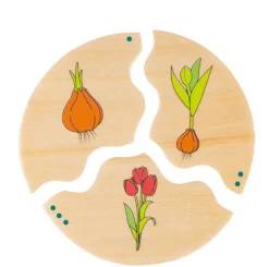 Lag Puslespil - Livscyklusser