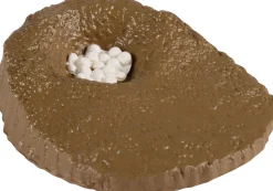 Livscyklus - Fra Aeg Til Havskildpadde