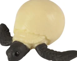 Livscyklus - Fra Aeg Til Havskildpadde