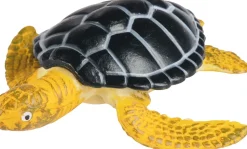 Livscyklus - Fra Aeg Til Havskildpadde