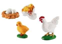 Livscyklus - Fra Aeg Til Hone