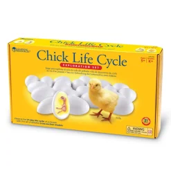 Livscyklus - Fra Befrugtning Til Kylling