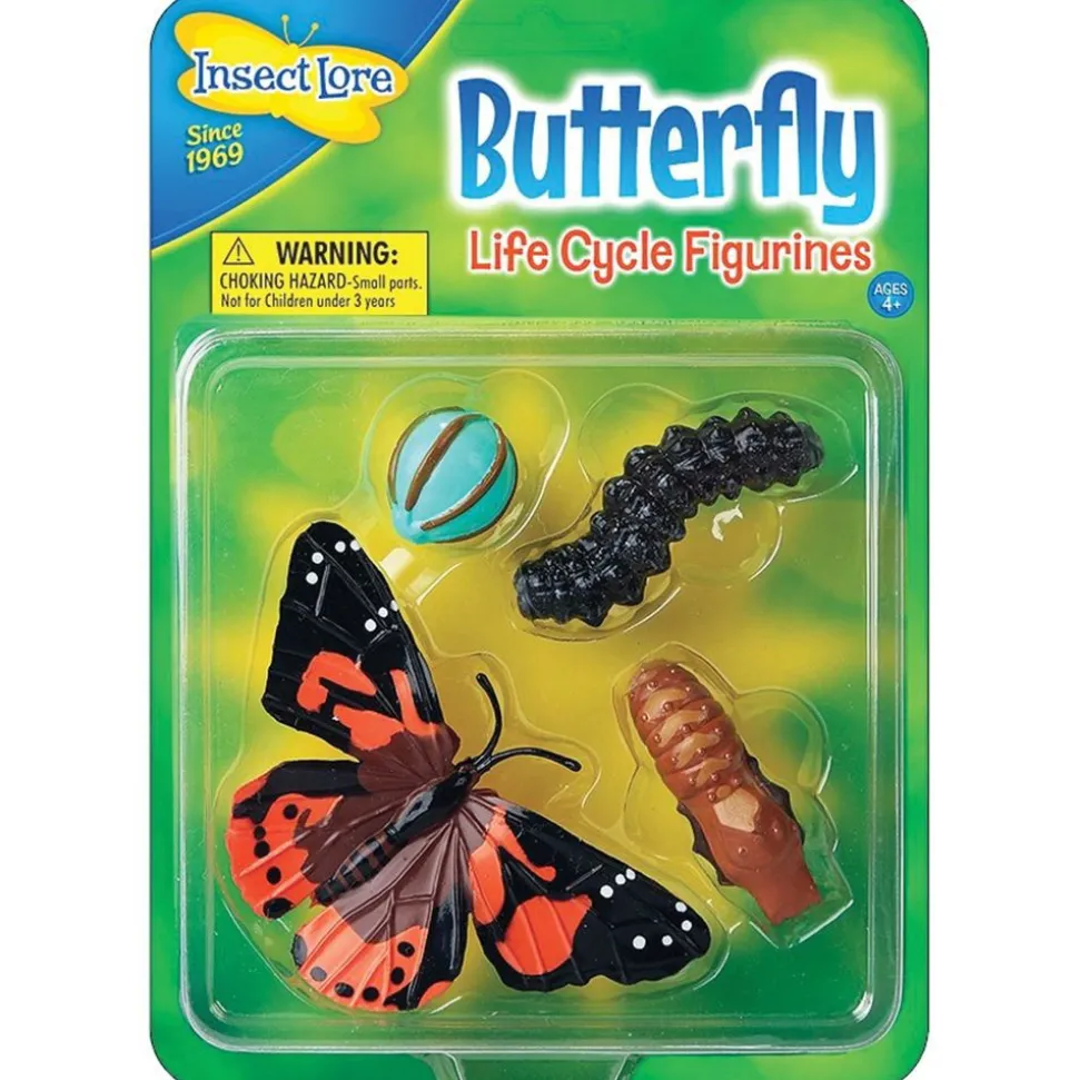 Livscyklus: Fra Aeg Til Insekt - Sommerfugl