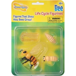Livscyklus: Fra Aeg Til Insekt - Honningbi