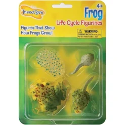 Livscyklus: Fra Aeg Til Padde - Fro