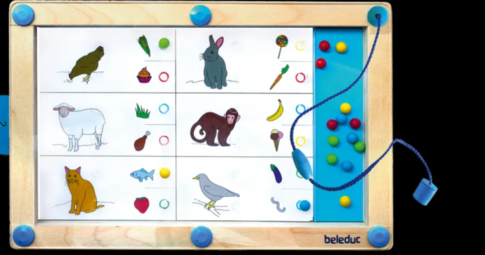 Logikspil - Logiplay Inkl. 18 Opgavekort